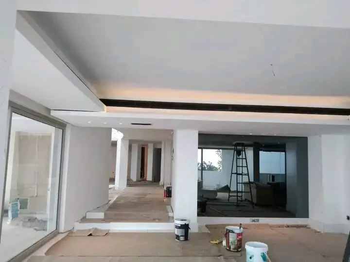 Home Improvement-Rhinolite